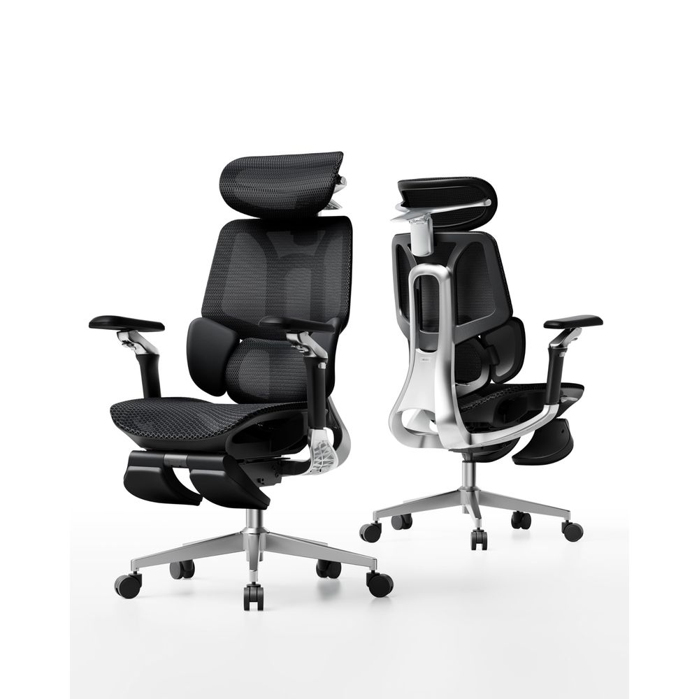 E3 Pro 2026 Edition Ergonomisc – Ergonomic Office Chair Bewertung und Preis